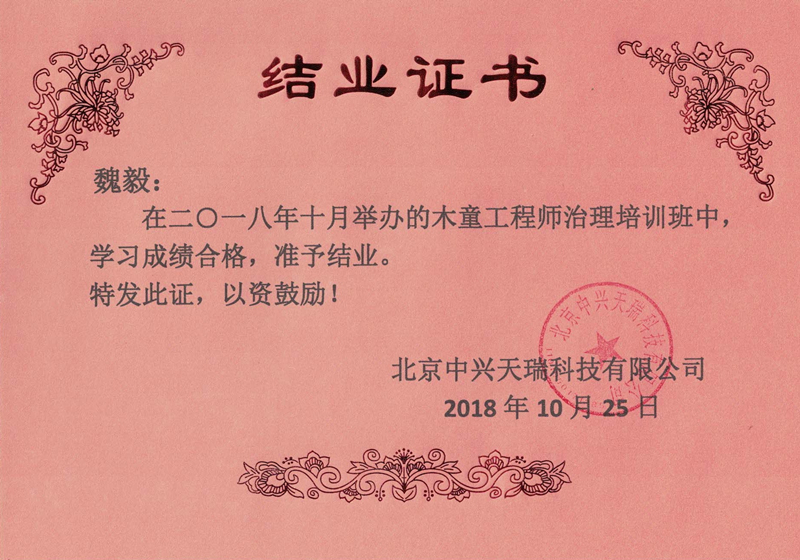 魏毅-木童工程師檢測與治理服務(wù)高級(jí)培訓(xùn)證書.jpg